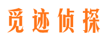 湖滨外遇调查取证